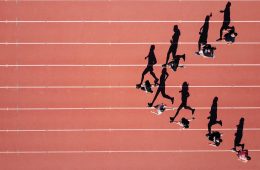 Mest populære sportsgrene