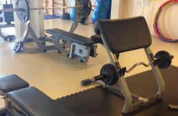 Bicepsbænk curl bænk