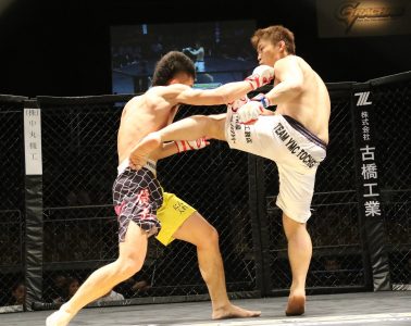 MMA regler